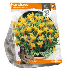 Baltus Narcissus Cyclamineus Jetfire bloembollen per 10 stuks